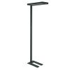MAUL Stehleuchte LED MAULjaval 361.00 schwarz, dimmbar