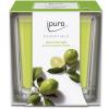 IPURO Duftkerze Essentials 051.1203 lime light 125g