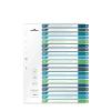 DURABLE Register PP A4+ 679727 mehrfarbig 1-20