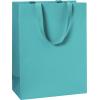 STEWO Geschenktasche One Colour 2544644996 türkis 23x13x30 cm