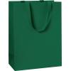 STEWO Geschenktasche One Colour 2544782696 grün dunkel 23x13x30 cm