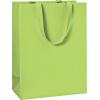 STEWO Geschenktasche One Colour 2544782896 grün hell 23x13x30 cm
