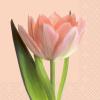 STEWO Serviette Isa 2572541125 rosa 33x33cm