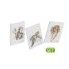 PAGNA Notizbuch Set 3 Stk. Save me 26094-25 Save me No.3 128S, dotted line