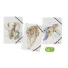 PAGNA Gummizugmappe Set 3 Save me A4 21627-25 Save me No.3 sortiert