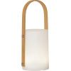 STAR TRADING Akku LED-Leuchte Lisa 12.803-59 RGBW