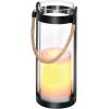 SCHOENENBERGER LED-Leuchte TAURI 21cm 97.802525 transparent, LED