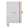 RHODIA Goalbook Notizbuch A5 118570C Hardcover silber 240 S.