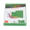 ELCO Couverts/Karten COLOR C6/A6 74834.62 grün 2x10 Stück
