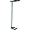 MAUL Stehleuchte LED MAULjuvis 474.00 Bewegung-/Lichtsensor, dim.