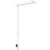 MAUL LED-Tischleuchte MAULjuvis 8258702 Bewegung-/Lichtsensor, dim.