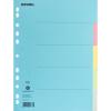 NOVOOO Kartonregister A4 40574 bunt 5-teilig
