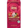 LIPTON Waldfrüchte Tee 4071217 25 Pyramiden