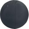 LEITZ Sitzball Ergo Active 55cm 6541-00-89 grau