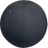 LEITZ Sitzball Ergo Active 75cm 6543-00-89 grau