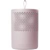 ABSODRY Luftentfeuchter Duo Family 456.85940900 pink