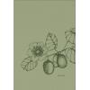 NATUR VERLAG Notizbuch Crushpaper A5 11007N Kiwi Mono, dotted