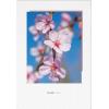 NATUR VERLAG Notizbuch Crushpaper A5 11018N Mandel Foto, dotted
