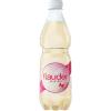 APPENZELLER Flauder Pet 8258 50 cl, 6 Stk.