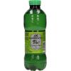 BENEDETTO Green Tea Pet 2205 50 cl, 12 Stk.