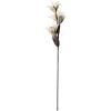 EGLO Kunstblume MOLAVE 428121 braun