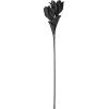 EGLO Kunstblume MOLAVE 428122 schwarz