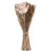 EGLO Trockenblumen CARAQUET 428153 apricot