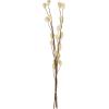 EGLO Trockenblume SENNETERRE 428166 grün