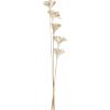 EGLO Trockenblume SENNETERRE 428167 weiss