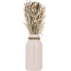 EGLO Trockenblumen CARAQ 28cm 428081 beige, mit Vase