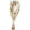 EGLO Trockenblume 60cm 428045 beige