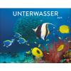 HEYE Bildkalender 2025 23230+25 Unterwasser 44x34cm