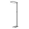 HANSA Stehleuchte Saphir Plus 41-5011.302 anthrazit