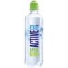 ACTIVE 02 Apple Kiwi 2206 50 cl, 6 Stk.