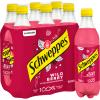 SCHWEPPES Wild Berry 11020621 50 cl, 6 Stk.