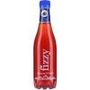FIZZY Heidelbeere 130379 46 cl, 6 Stk.