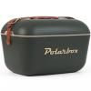 POLARBOX Retro Cooler 01.20GLD-FG Waldgrün - Gold 20l