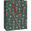 STEWO Geschenktasche Tika 2544510545 grün 23x13x30cm