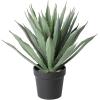 EGLO Kunstpflanze 36.5cm 428351 grün, im Topf