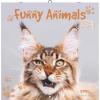 ALPHA EDITION Bildkalender 2026 160630 Funny Animals ML 30x30cm