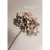 HEYE Bildkalender 2026 23224+26 pure&simple 37x53.5cm