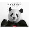 WEINGARTEN Bildkalender 2026 3312243+26 Black&White Animals 55x46cm