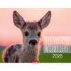 WEINGARTEN Bildkalender 2026 3312198+26 Heimische Wildtiere 44x34cm