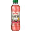 RAMSEIER Huus-Tee Früchte 1022 50 cl, 6 Stk.
