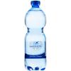 SAN BENEDETTO mit Kohlensäure 9088 50 cl, 24 Stk