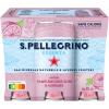 SAN PELLEGRINO Pink Grapefruit-Zitrusfrucht 12602874 Essenza 33 cl, 6 Stk.