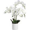 EGLO Kunstpflanze 65cm 428024 Orchidee, im Topf