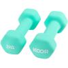 KOOR Kurzhantel Set 2kg F00912 mint 2 Stück