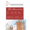 HAHNEMÜHLE Aquarellbl. Britannia 30x40cm 10628642 weiss satiniert, 300g 12 Blatt