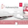 HAHNEMÜHLE Aquarellbl. Expression 24x30cm 10628666 weiss, 300g 20 Blatt